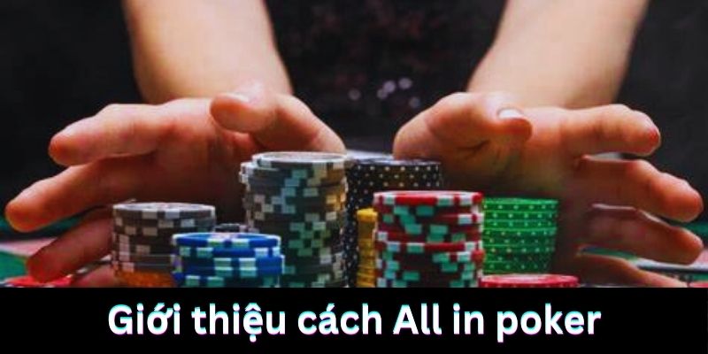 Giới thiệu về hình thức All in Poker tại hệ thống