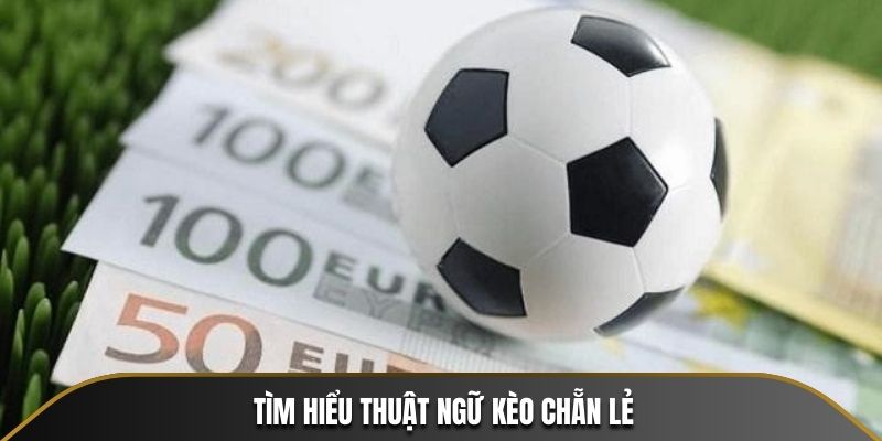 Tìm hiểu thuật ngữ kèo Chẵn Lẻ